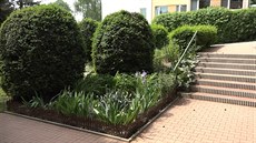 Pokud chce zahradník vytvořit předzahrádku, musí mít povolení města, pokud není... Pokud chce zahradník vytvořit předzahrádku, musí mít povolení města, pokud není...