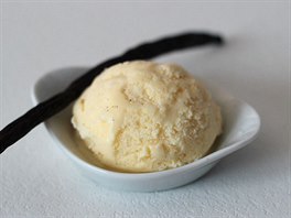 Domc vanilkov zmrzlina podle Sabiny Kmecov