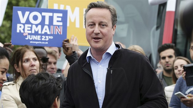 David Cameron pi pondln kampani v ulicch Londna (30. kvtna 2016)