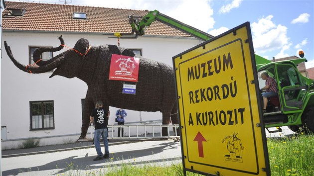 Po sedmi hodinch cesty dorazil proutn mamut do Pelhimova. Stane se jednm z expont Muzea rekord a kuriozit.