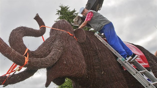 Jaroslav efl vytvoil z bezovho prout pravkho mamuta v ivotn velikosti. V pondl rno se socha vydala na cestu ze Lhty u Plzn do pelhimovskho muzea. (30. kvtna 2016)