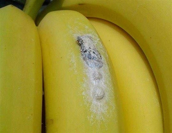 Banán, který vyfotila zákaznice v rosickém Lidlu. Podle experta se jedná o...