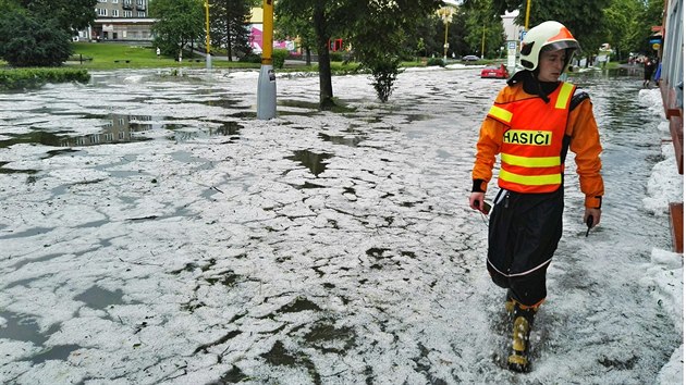 Fotografie Jana Szturce pibliuj, jak vypadal Havov, kdy jej  na Den dt postihl pvalov d隝.