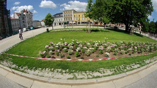 Prostjovsk radnice e dal problm souvisejc s velkou opravou hlavnho nmst. Po potch s dldnm se tentokrt propadly nov trvnky.