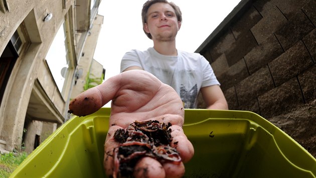 Vítek Brejcha a jeho domácí chov kalifornských žížal.