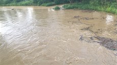 Plzeňsko zasáhly prudké deště s bouřkami(6.6.2016) Plzeňsko zasáhly prudké deště s bouřkami(6.6.2016)