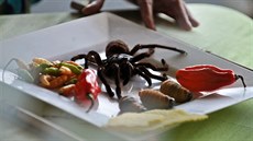 Ve Venezuele se s pavouky setkáte i ve vybrané gastronomii. Ve Venezuele se s pavouky setkáte i ve vybrané gastronomii.