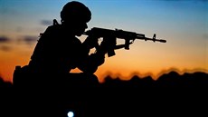 Ranní výsadek amerických a polských vojáků během cvičení „Anakonda 16" v Polsku Ranní výsadek amerických a polských vojáků během cvičení „Anakonda 16" v Polsku