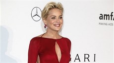 Sharon Stone (Cannes, 22. kvtna 2014)