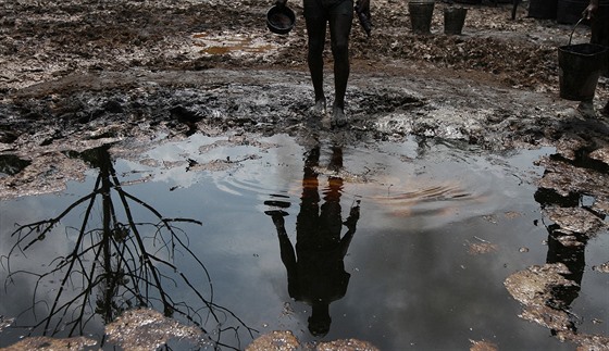 Delta Nigeru je po desetiletích tby zamoená ropou. (2. ervna 2016)