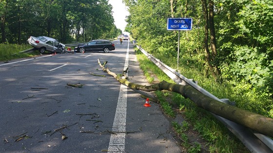 Spadlý strom zavinil nehodu dvou aut u Petvaldu na Novojiínsku.