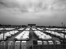 Uprchlický tábor Dibaga v iráckém Kurdistánu (15. ervna 2016)