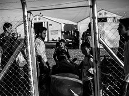  Uprchlický tábor Dibaga v iráckém Kurdistánu (15. ervna 2016)