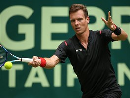 Tom Berdych v duelu 1. kola turnaje v Halle proti Marcosu Baghdatisovi