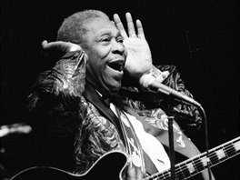 Výstava On Stage, B. B. King