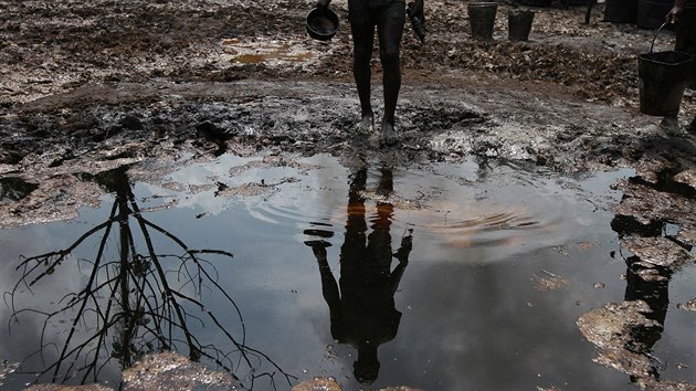 Delta Nigeru je po desetiletch tby zamoen ropou. (2. ervna 2016)