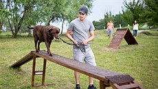 Richard Landgraf doufá, že hřiště, které postavili žáci ze základní školy,... Richard Landgraf doufá, že hřiště, které postavili žáci ze základní školy,...
