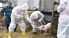 Pracovníci Státní veterinární správy cvičili v Květušíně zásah při vypuknutí... Pracovníci Státní veterinární správy cvičili v Květušíně zásah při vypuknutí...