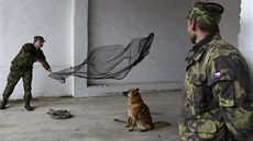 Vojáci ukazují odchyt psa pomocí odchytové sít.