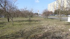 Prostory sousedící se silnicí v ulici Generála Šišky, kudy má také vést... Prostory sousedící se silnicí v ulici Generála Šišky, kudy má také vést...