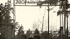 Vchod do olomoucké zoo na Svatém Kopečku v 50. letech v době jejího otevření Vchod do olomoucké zoo na Svatém Kopečku v 50. letech v době jejího otevření