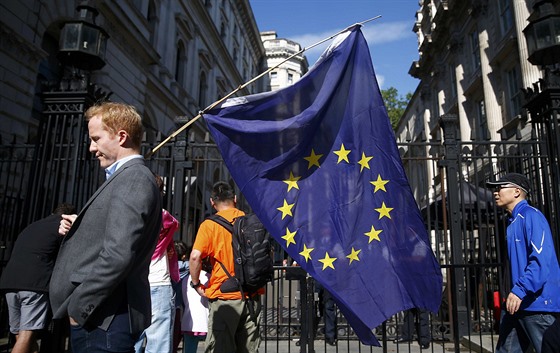 Jeden z podporovatel setrvání Velké Británie v EU na londýnské Downing Street...