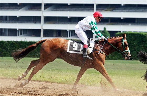 Josef Váa (ervená pilba) na trati II. kvalifikace na Velkou Pardubickou v...