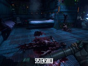 System Shock (reboot)