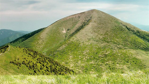 Typick hol hebeny vkrivsk sti Mal Fatry. Vrch Stoh (1 607 m)