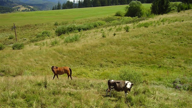 Spolenost na Mursk planin