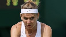 Česká tenistka Lucie Šafářová bojuje v 1. kole Wimbledonu. Česká tenistka Lucie Šafářová bojuje v 1. kole Wimbledonu.