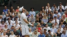 Britský tenista Andy Murray hraje 1. kolo domácího Wimbledonu.
