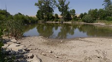 Výrazný pokles hladiny rybníka v Hostýnských vrích bhem srpna 2015