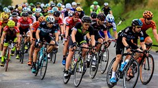 Leopold König táhne cyklistický peloton na republikovém šampionátu v Kyjově. Leopold König táhne cyklistický peloton na republikovém šampionátu v Kyjově.