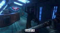 System Shock (reboot)