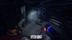 System Shock (reboot)