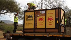 Transport nosoroí samiky Eliky do Afriky (28.6.2016).