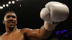 Britský boxer Anthony Joshua obhájil titul profesionálního mistra svta tké...