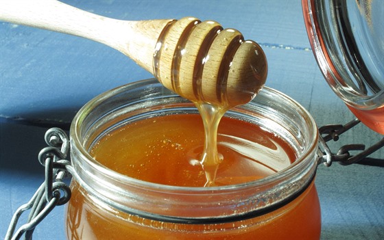 Letoní výnosy medu by mohly být docela dobré.