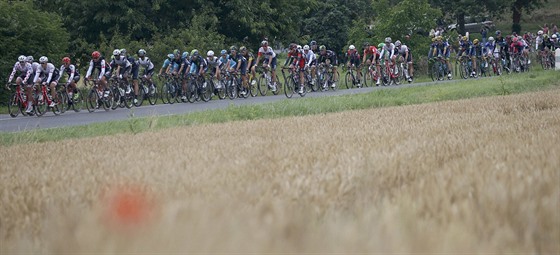 Cyklistický peloton - ilustraní foto