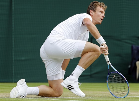 Tomá Berdych v semifinále Wimbledonu