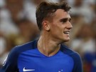 STELEC. Francouz Antoine Griezmann poslal Nmcm z penalty povstn gl do...