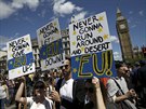 Pochod proti vystoupení Velké Británie z EU (2. ervence 2016)