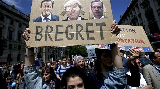 Protestn pochod odprc vystoupen Velk Britnie z EU (2. ervence 2016)