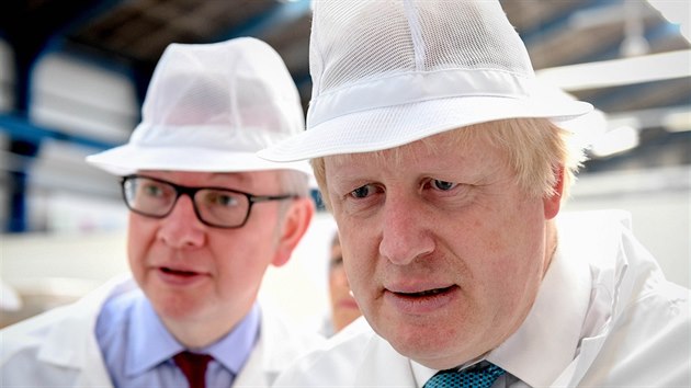 Michael Gove a Boris Johnson byli a do britskho referenda nerozlun spojenci.