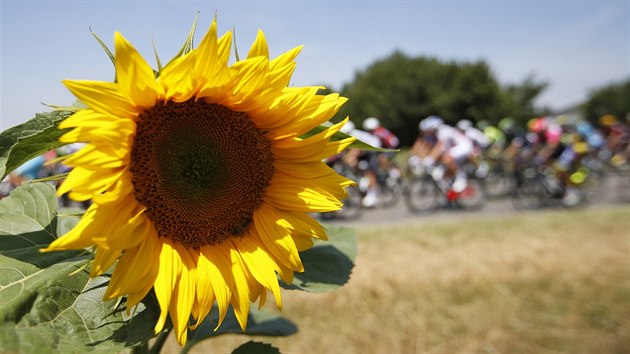 Momentka ze sedm etapy Tour de France