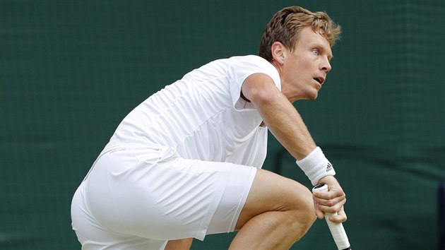 Tom Berdych v semifinle Wimbledonu