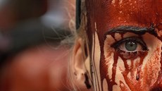 Protesty proti býčím zápasům v Pamploně (5. červenec 2016) Protesty proti býčím zápasům v Pamploně (5. červenec 2016)
