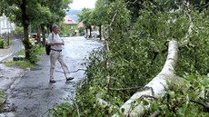 Silný vítr v Jablonci nad Nisou lámal stromy. (2.7.2016)