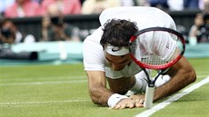 Roger Federer padl, v semifinále Wimbledonu ho pehrál Milos Raonic.
